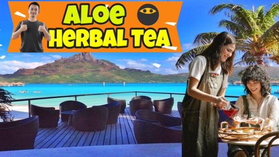 Aloe Vera Herbal Tea - Remedies and Benefits