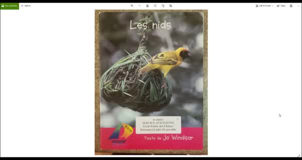 The nests book les nids