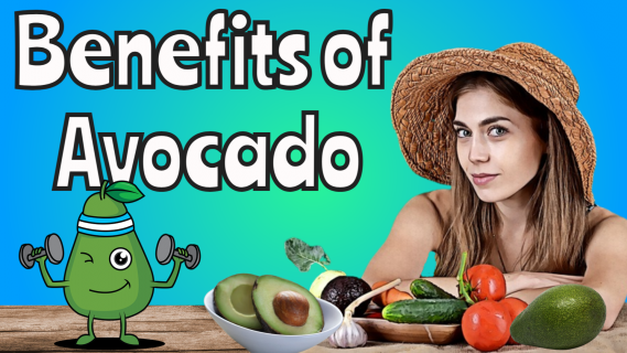 Benefits of Avocado - Making Avocado Leaf Tea