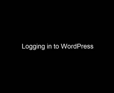 3 - Logging in to WP