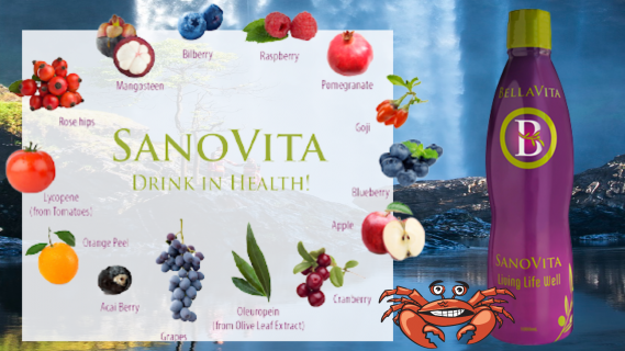 SanoVita - First complete whole food beverage