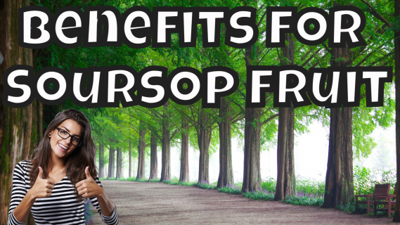 Benefits for Soursop Fruit