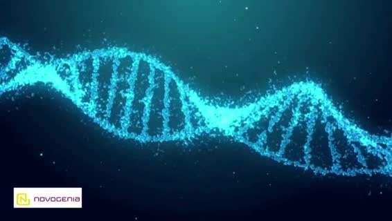 DNA Strang