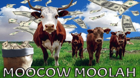 MOOCOW MOOLAH