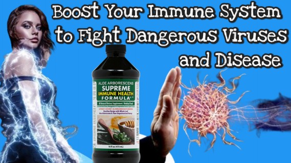 Learn to boost the body’s immune system